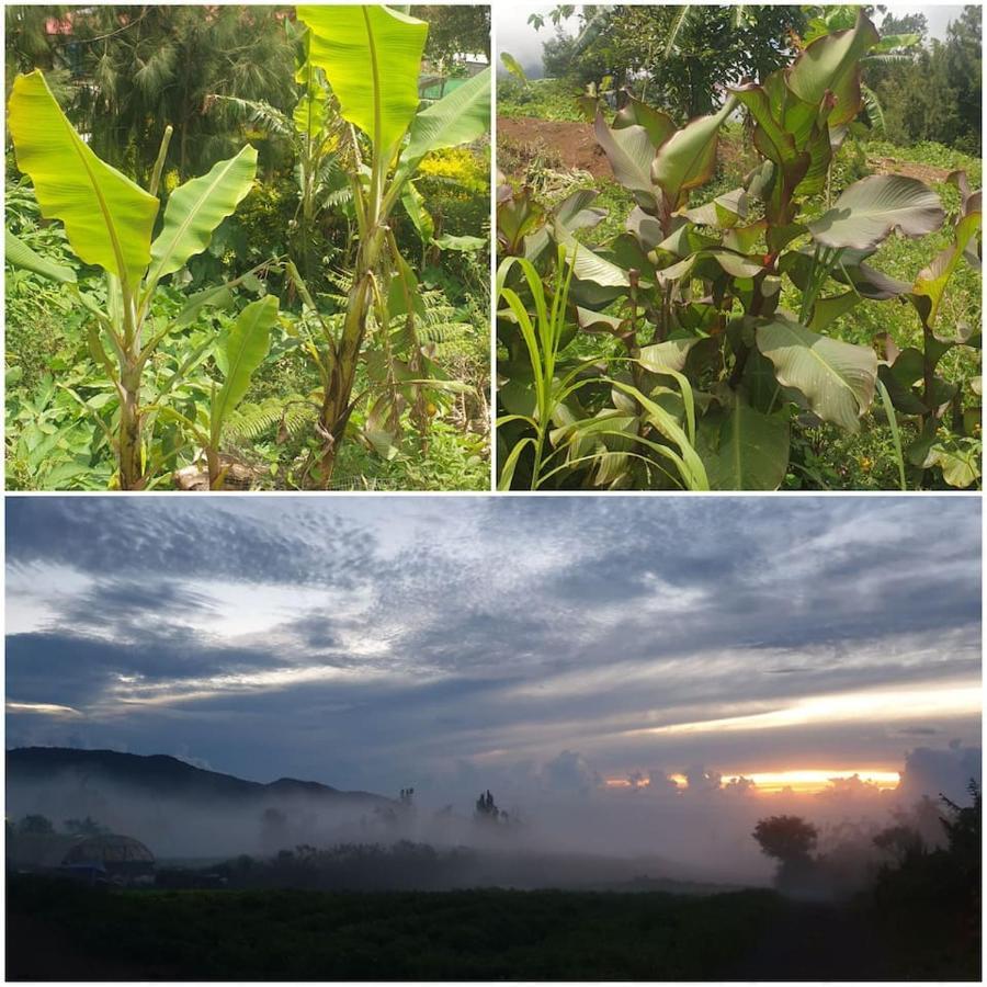 Affittacamere Au Coeur Des Plantations La Possession Esterno foto