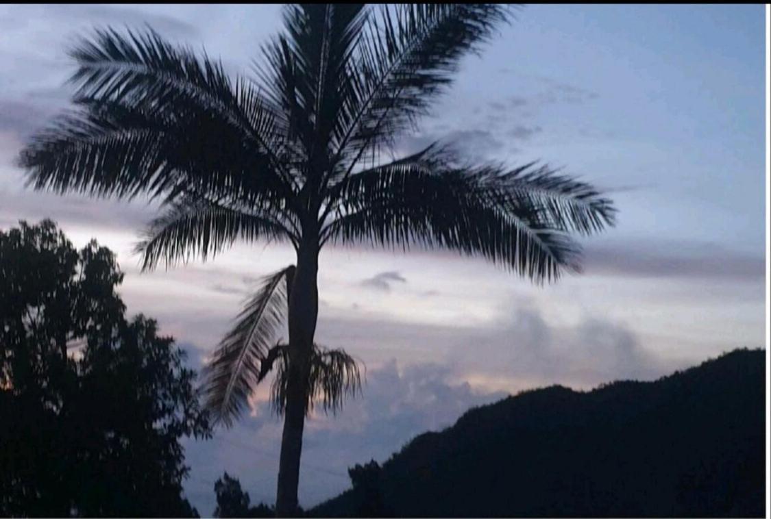 Affittacamere Au Coeur Des Plantations La Possession Esterno foto