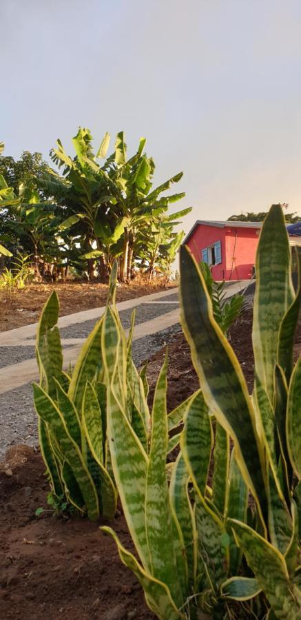 Affittacamere Au Coeur Des Plantations La Possession Esterno foto