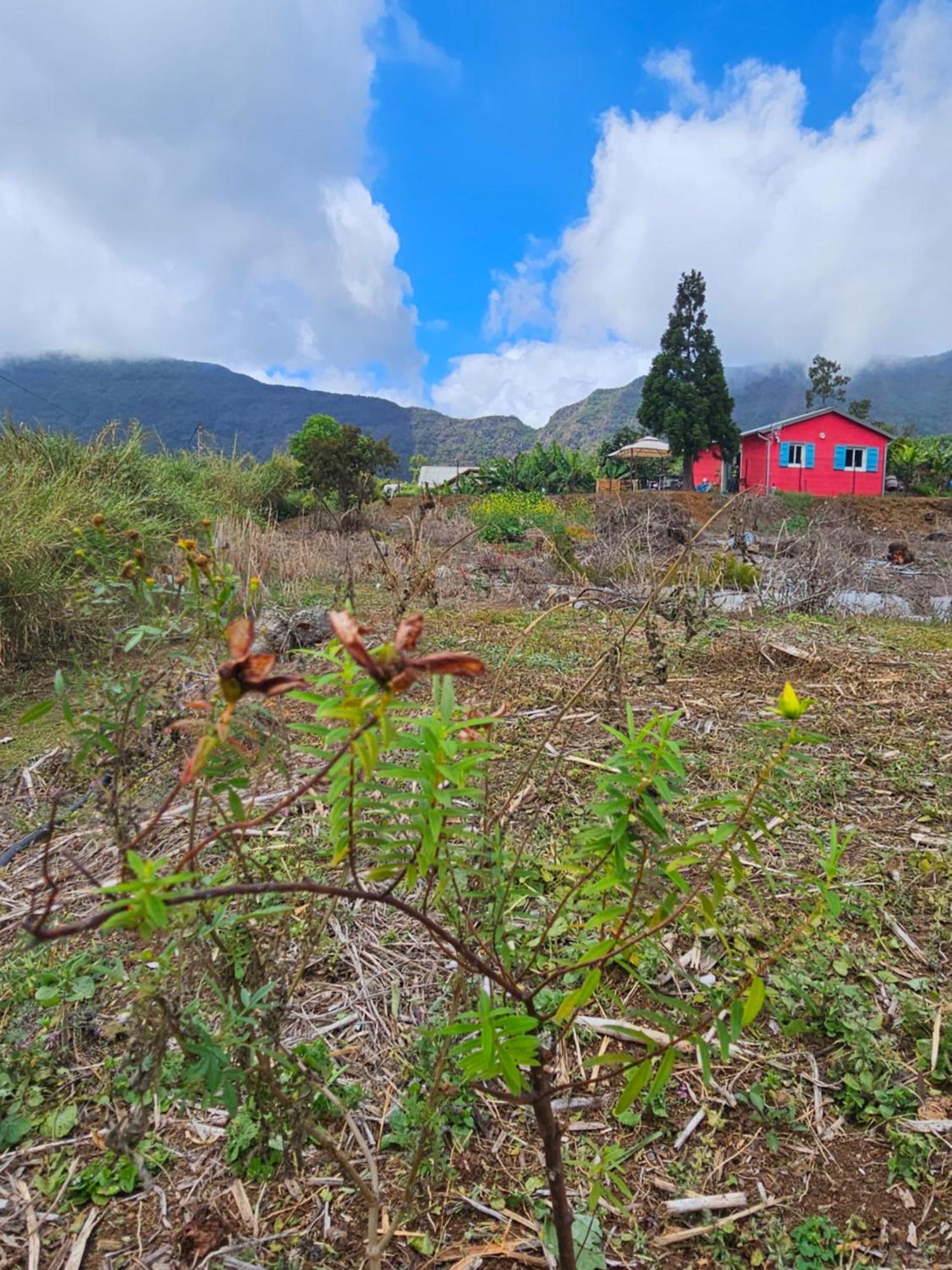 Affittacamere Au Coeur Des Plantations La Possession Esterno foto